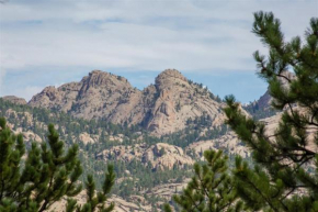 Hidden Pines